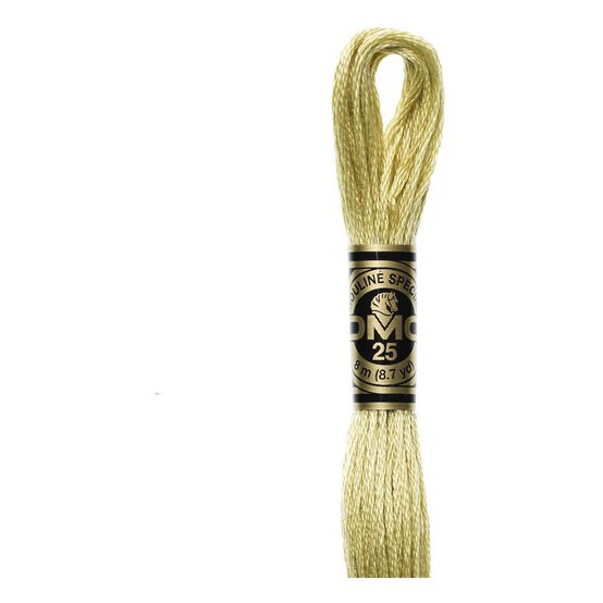 DMC Yellow Mouline Special 25 Cotton Thread 8m (3046) image number 1