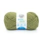 Lion Brand Olive Branch Basic Stitch Anti-Microbial Yarn 100g image number 1