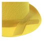 Yellow Top Hat image number 6