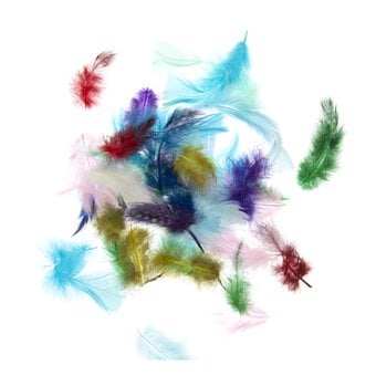 Exotic Feathers 5g image number 4