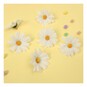 Daisy Heads 12 Pack image number 1