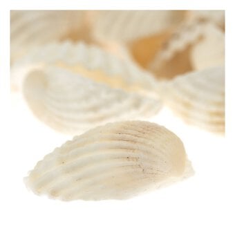 Mixed Bag of Cup Shells 250g image number 3
