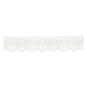 White 25mm Scallop Cotton Lace Trim by the Metre image number 1