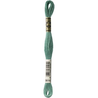 DMC Green Mouline Special 25 Cotton Thread 8m (3816) image number 3