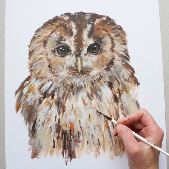 How to Paint an Owl with Acrylics image number 1