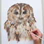 How to Paint an Owl with Acrylics image number 1