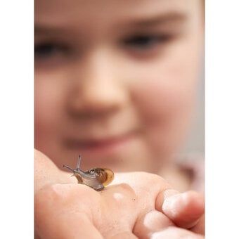 My Living World Snail Kit image number 4