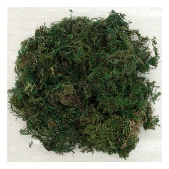 Green Moss 40g