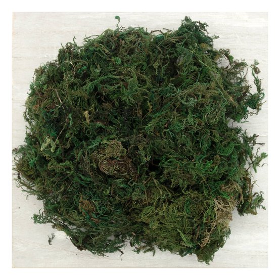 Green Moss 40g image number 1