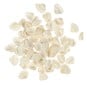 Mixed Bag of Cup Shells 250g image number 1