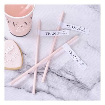 Ginger Ray Pink Team Bride Straws 16 Pack
