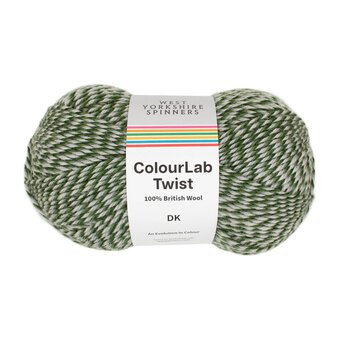 West Yorkshire Spinners Treetops ColourLab Twist DK Yarn 100g