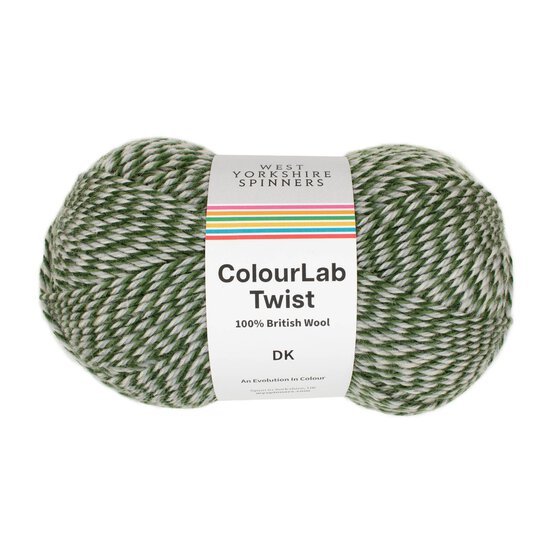 West Yorkshire Spinners Treetops ColourLab Twist DK Yarn 100g image number 1