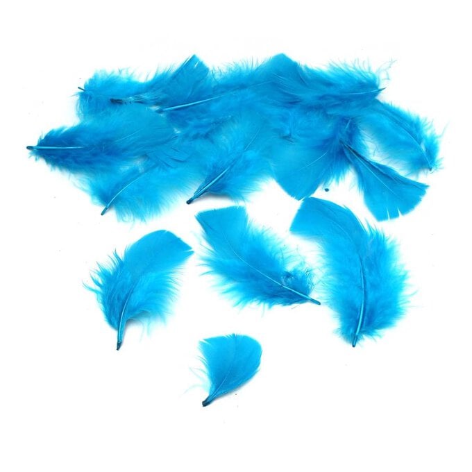 Turquoise Craft Feathers 5g image number 1