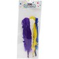 Assorted Pastel and Bright American Style Feathers 9 Pack image number 3
