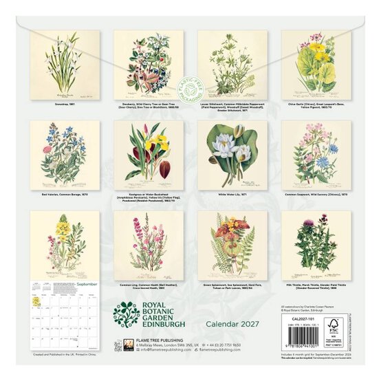 Royal Botanic Garden Edinburgh Wall Calendar 2027 image number 4