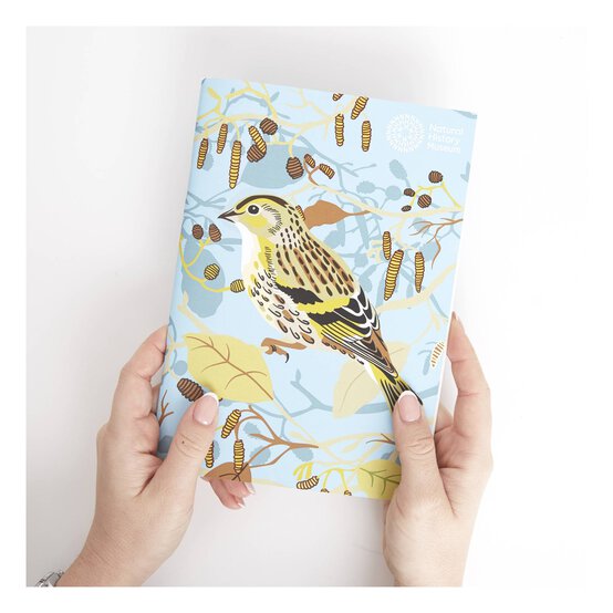 Natural History Museum Sketchbooks A5 3 Pack image number 4