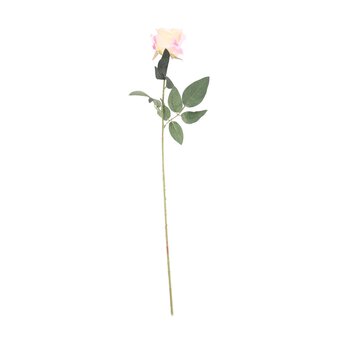 Ivory Arundel Rose 70cm x 10cm