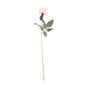 Ivory Arundel Rose 70cm x 10cm image number 1