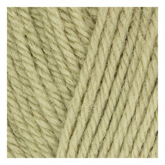 West Yorkshire Spinners Orchard Morris DK 50g