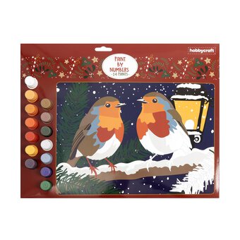 Christmas Robins Paint by Numbers