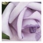 Lilac Wired Rose Heads 20 Pack image number 2