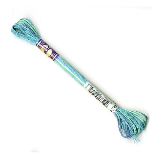 DMC Green Mouline Variegated Cotton Thread 8m (4030) image number 1