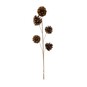 Pinecone Pick 60cm  image number 2