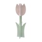 Pink Wooden Tulip image number 3