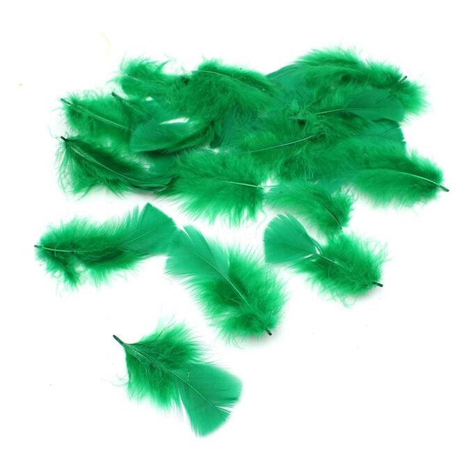 Emerald Craft Feathers 5g image number 1