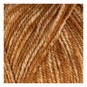 Stylecraft Ginger Wash Life DK 100g image number 2
