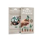 Pikiii Paper Plants Kit image number 7