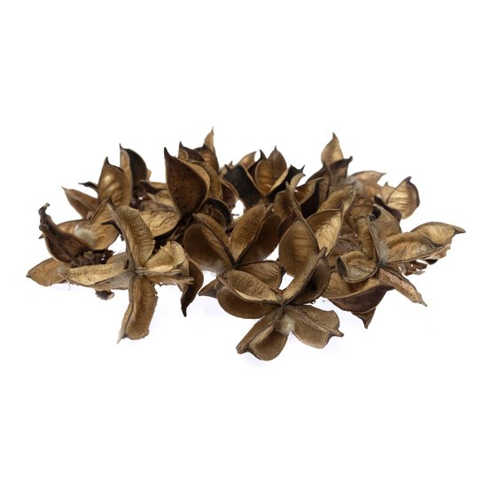 Natural Cotton Pods 40g image number 3