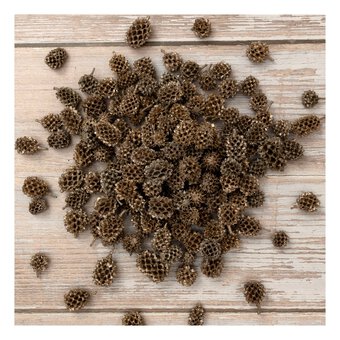 Mini Pinecones 100g