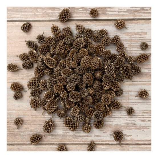 Mini Pinecones 100g image number 2