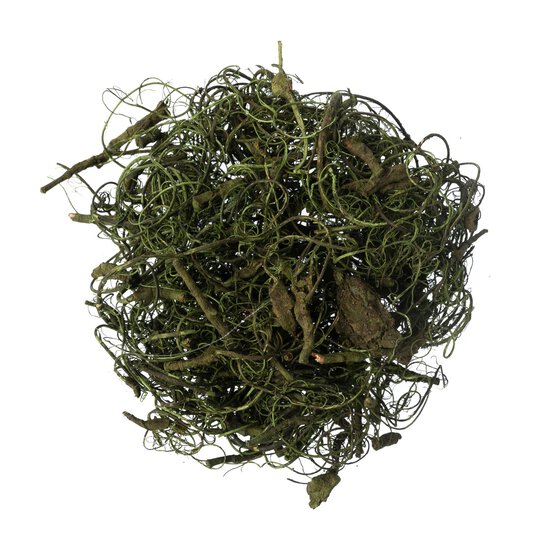Green Curly Moss 25g image number 4