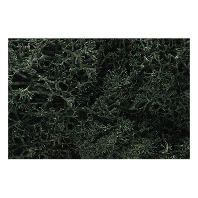 Woodland Scenics Lichen in Dark Green image number 1