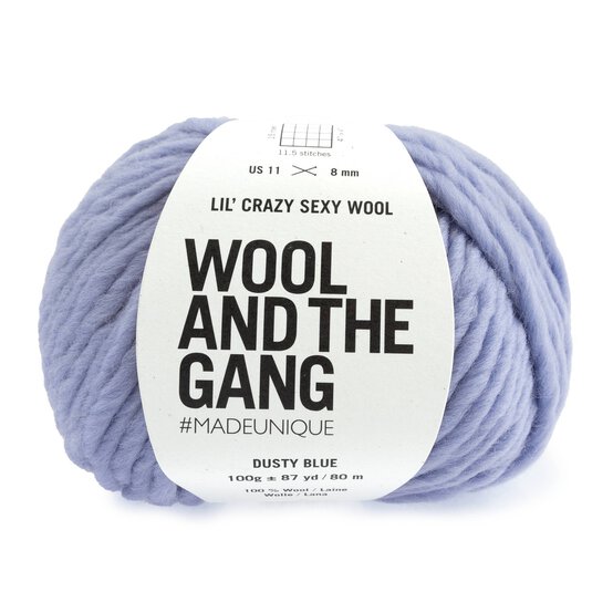 Wool and the Gang Dusty Blue Lil’ Crazy Sexy Wool 100g image number 1