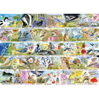Gibsons RSPB Birdsong and Bluebells Jigsaw Puzzle 1000 Pieces