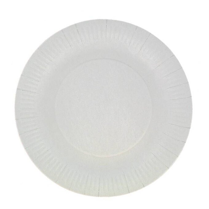 White Paper Plates 10 Pack image number 1