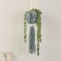 How to Make a Macrame Bee Plant Hanger image number 1