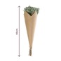 Green Gypsophila Bunch 60cm  image number 4