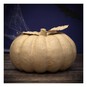Mache Pumpkin with Leaves 26cm image number 1