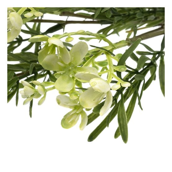 White Broom Bloom 52cm  image number 2