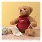 Bobbin the Bear image number 2
