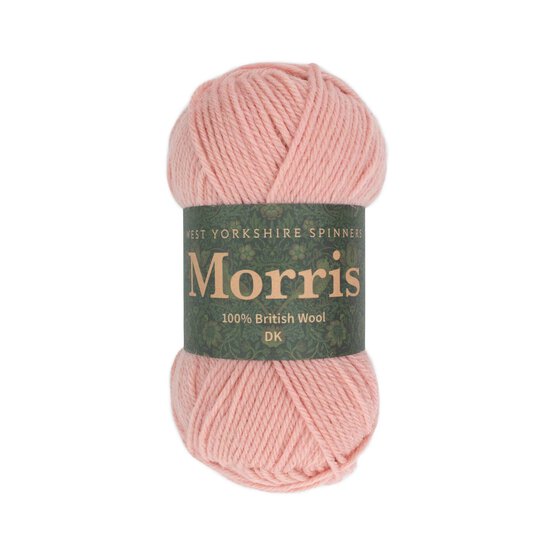 West Yorkshire Spinners Rose Morris DK 50g  image number 1
