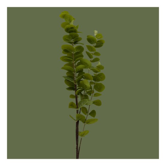 Eucalyptus Stem 96cm