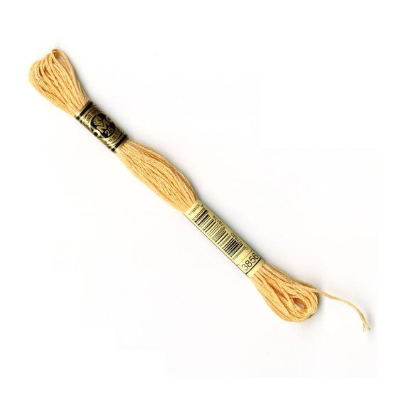 DMC Yellow Mouline Special 25 Cotton Thread 8m (3856) image number 1