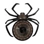 Black Spider Plate 24cm image number 3