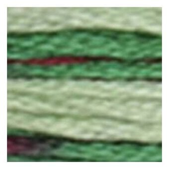 DMC Red and Green Coloris Mouline Cotton Thread 8m (4520) image number 2